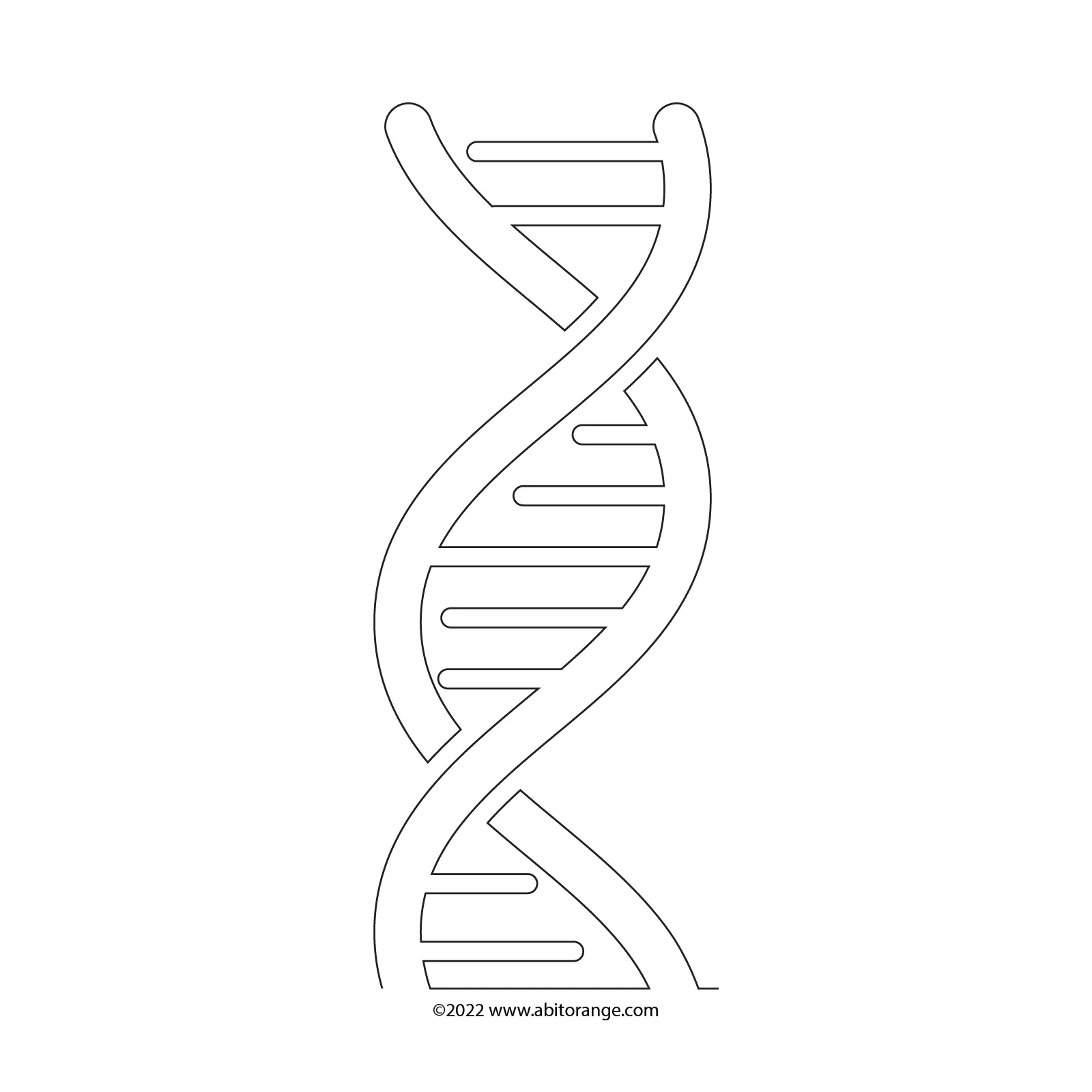 DNA E2E