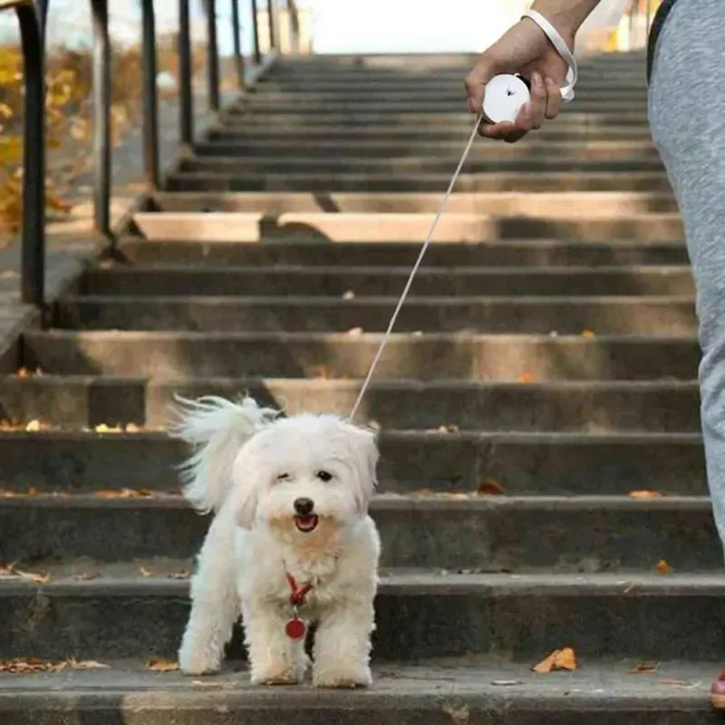 Mini Retractable Dog Leash